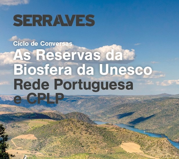 Ciclo de Conversas