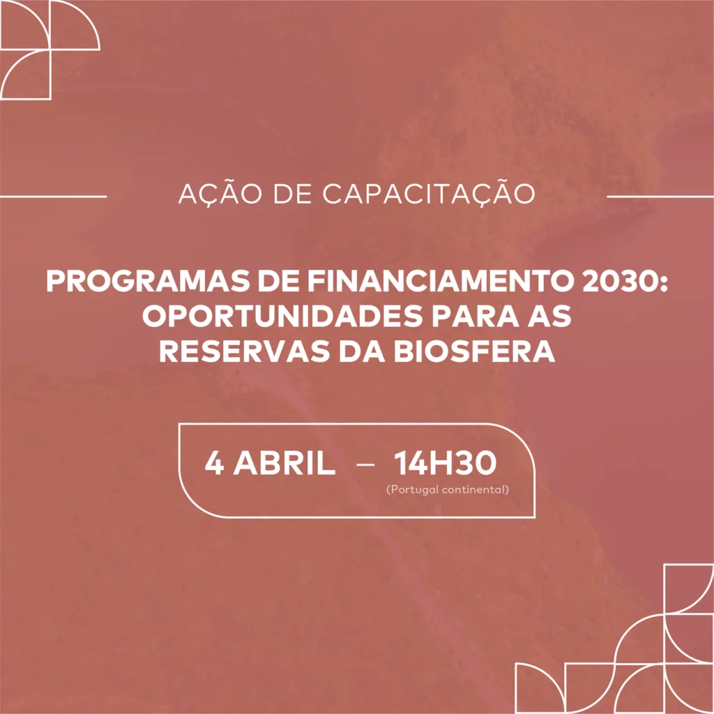 Ação de Capacitação