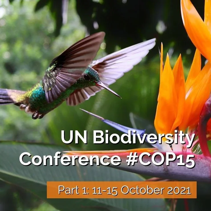 UN Biodiversity Conference