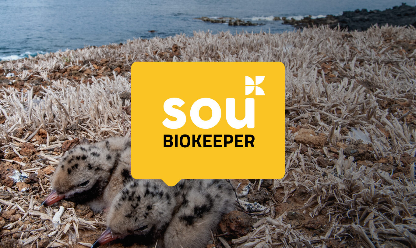 Grow the community of Biokeepers