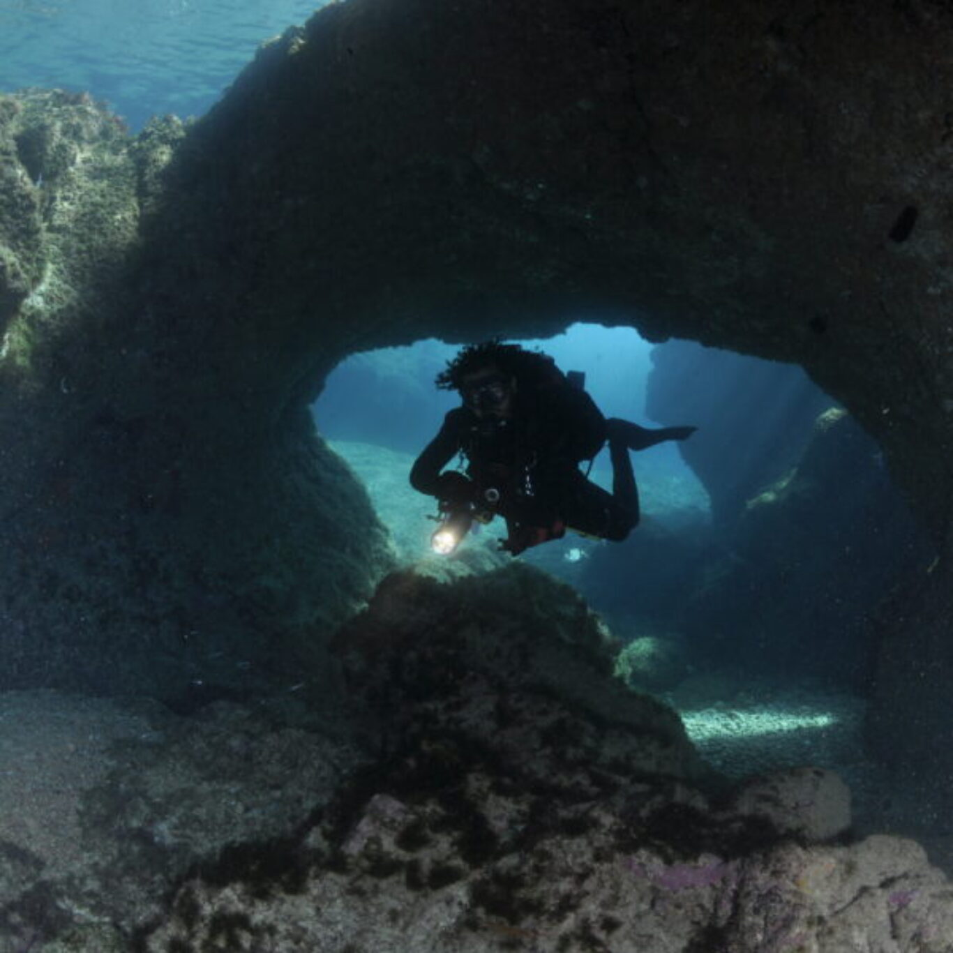 Curso Online: “A mudança que precisamos para o Oceano que queremos – Literacia do Oceano com escolas”