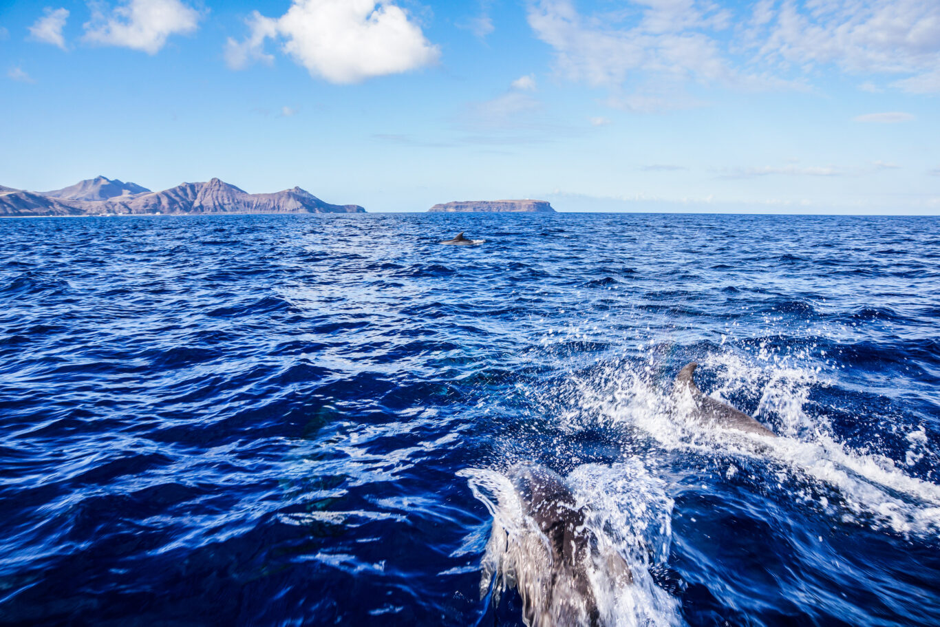 RB da Ilha do Porto Santo