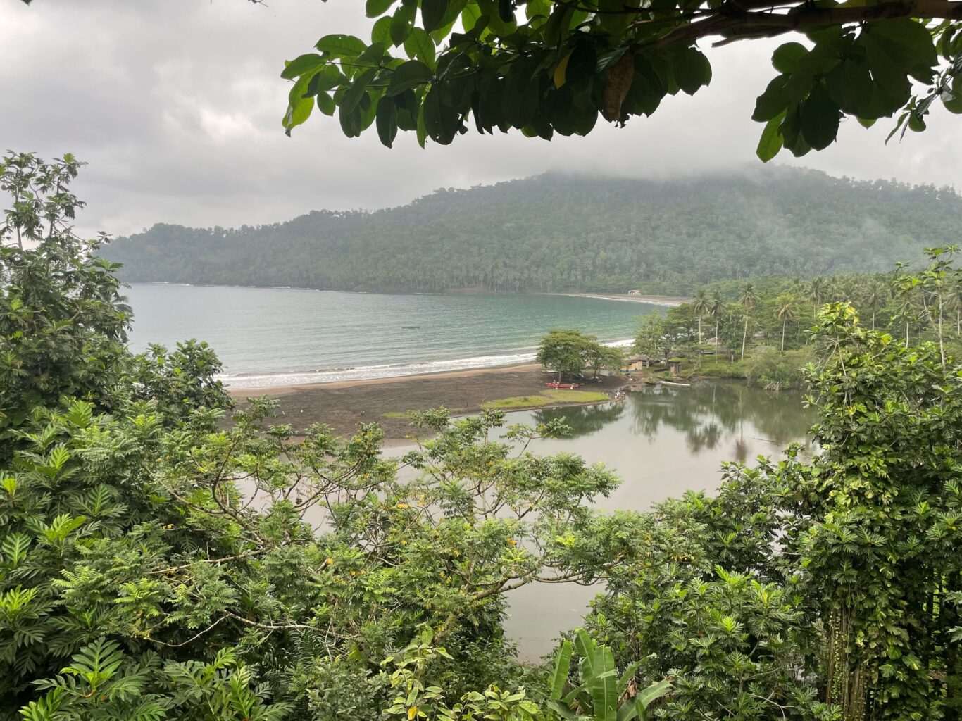 Novas Reservas da Biosfera