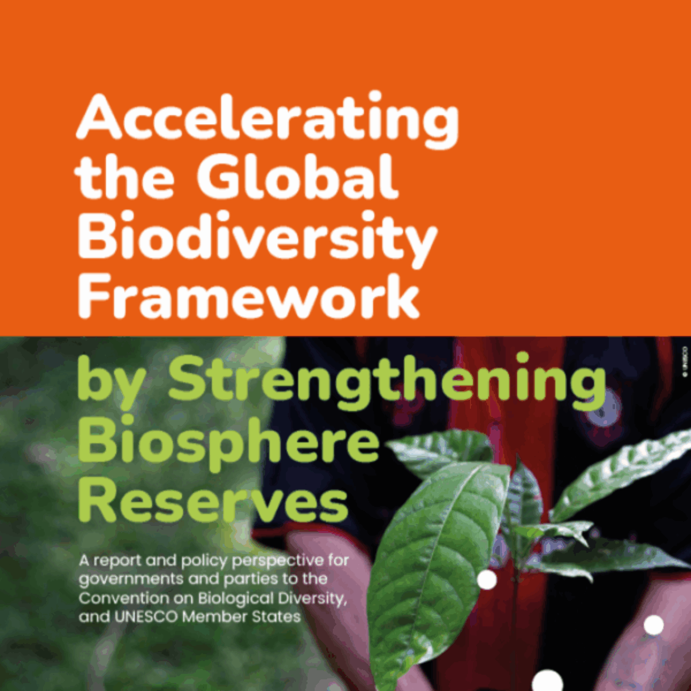 New report reveals that UNESCO Biosphere Reserves are making progress toward biodiversity goals