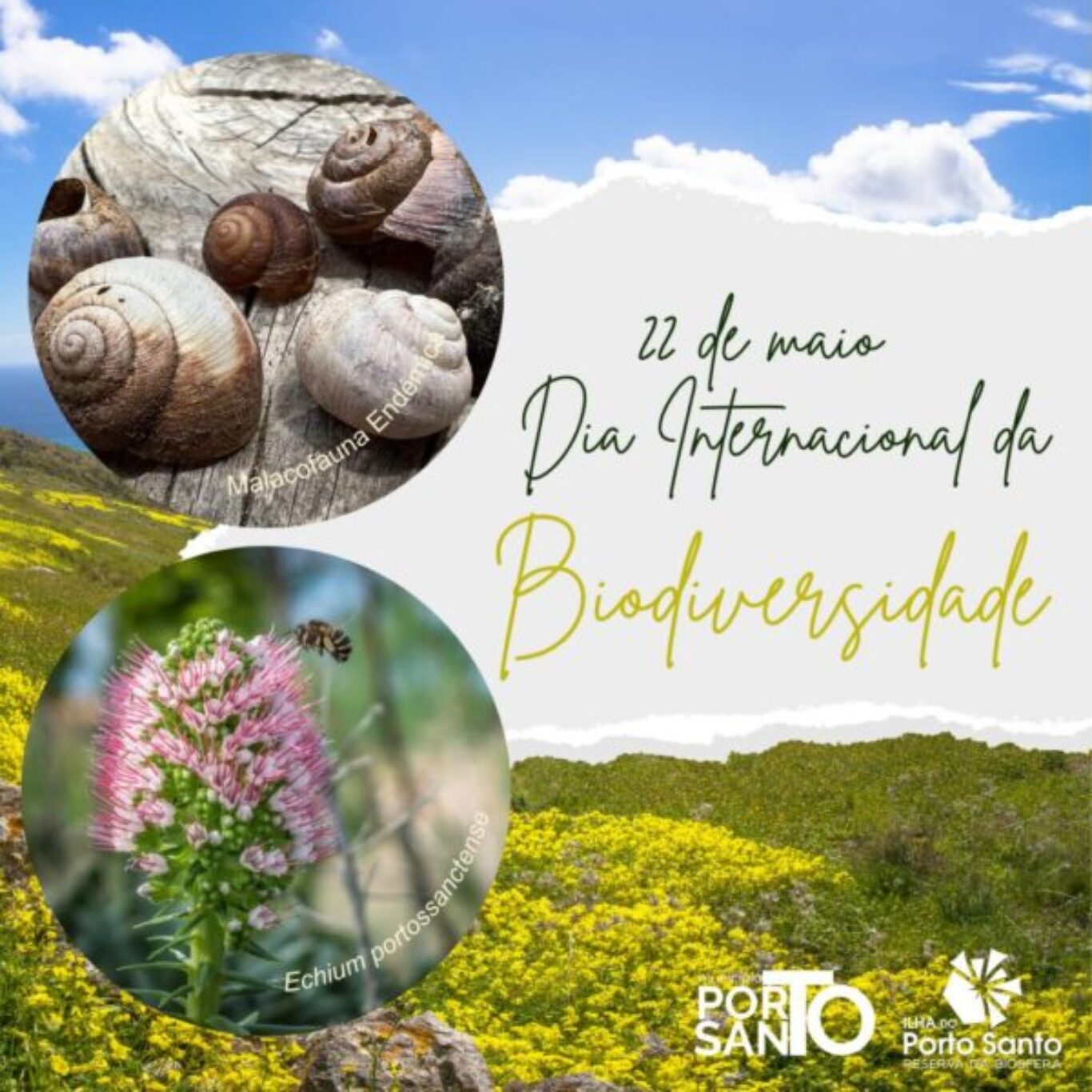 Dia Internacional da Biodiversidade