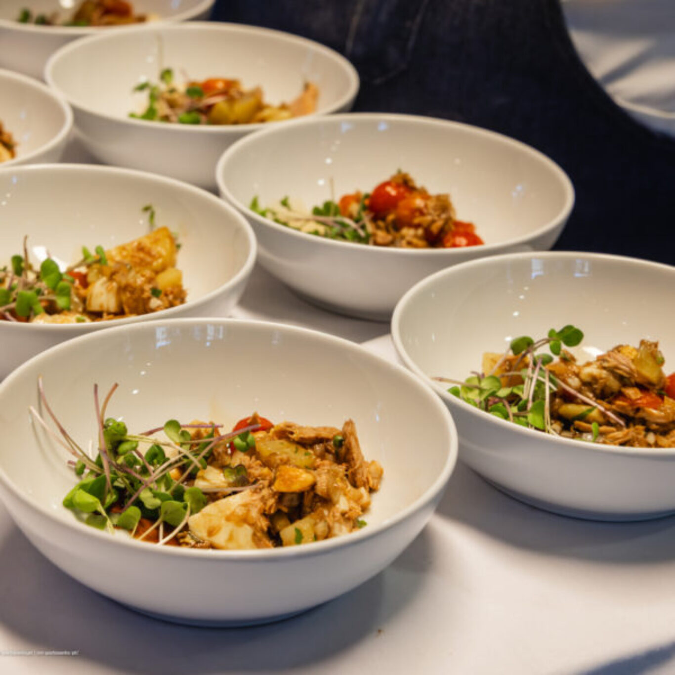 Dia Mundial da Alimentação 2025